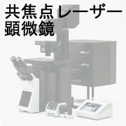 共焦点レーザー顕微鏡